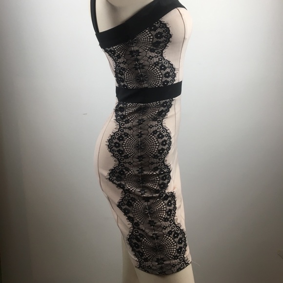 Dynamite Dresses & Skirts - Dynamite pale pink and black lace bodycon dress